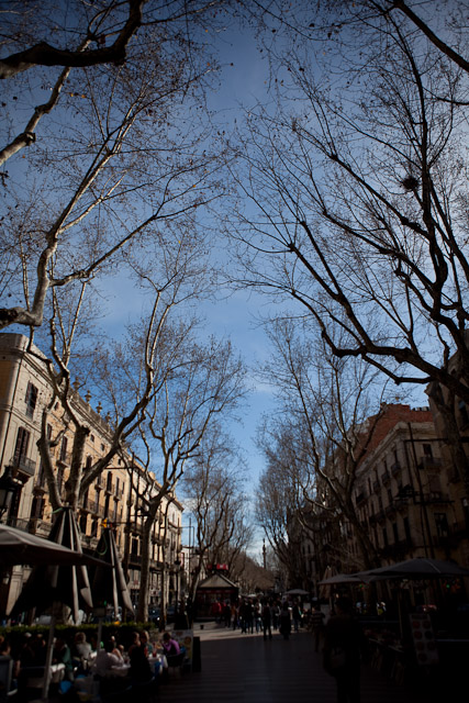 Barcelona impressions - Ramblas